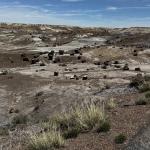 2023OTRA_737 (May 07, 2023)